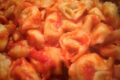 CUCINA:Tortellini al sugo di pomodoro
